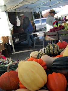 farm market 17nov01